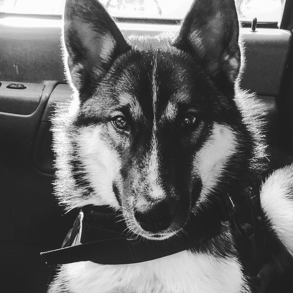 Meet your Posher, Indigo Raine - Picture 5 of 15